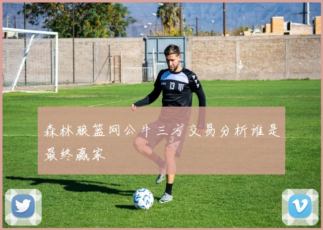 森林狼篮网公牛三方交易分析谁是最终赢家